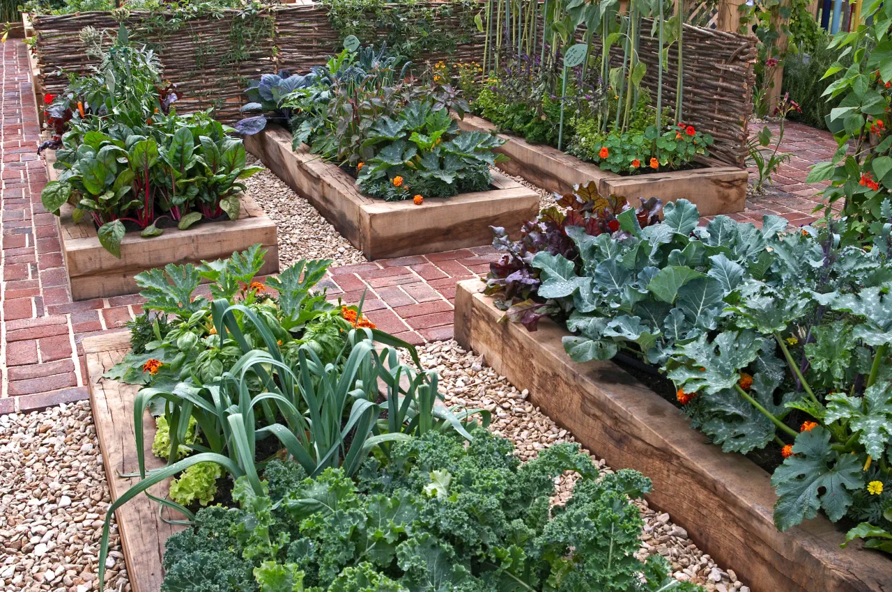 5 Tips For Starting Your Own Vegetable Garden